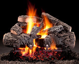 Hargrove 18-21 Inch See Through Vented Log Set Variable Flame with Remote - 18RNST1F5