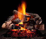 Hargrove 24 Inch See Through Vented Log Set Variable Flame with Remote - 24RNST1F5