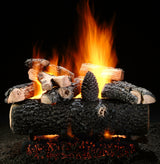 Hargrove 18-21 Inch See Through Vented Log Set Variable Flame with Remote - 18RNST1F5