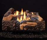 Majestic Vesper 36 Inch Outdoor Vent Free Gas Fireplace - VOFB36