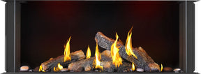 Napoleon Tall Bay Luxuria 50 three-sided direct vent gas fireplace