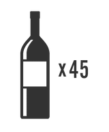 True 24-Inch Dual Zone Wine Cabinet capacity diagram - 45 bottles