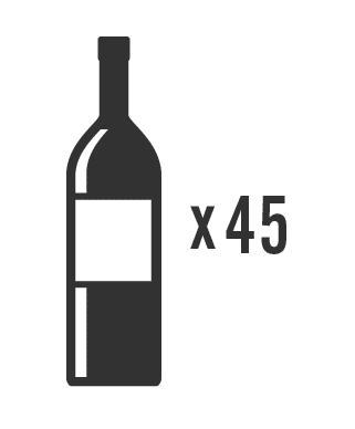 True 24-Inch Dual Zone Wine Cabinet capacity diagram - 45 bottles