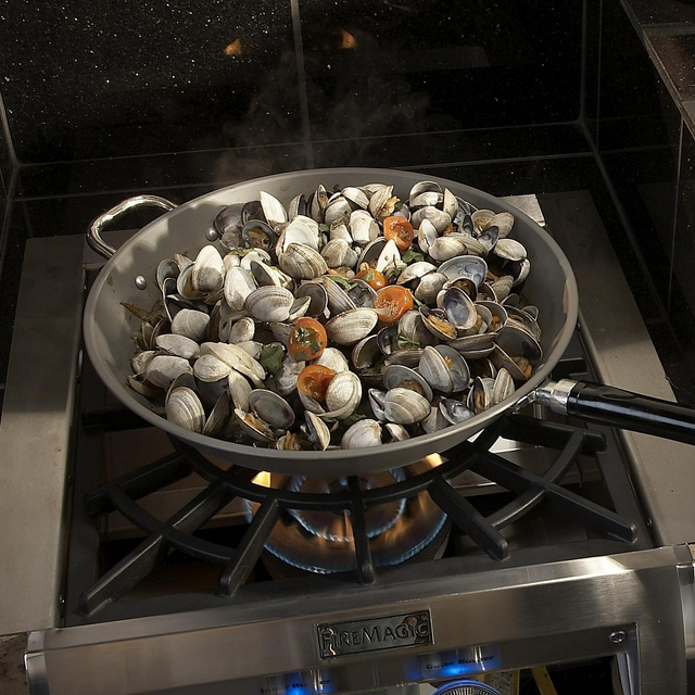 Fire Magic Echelon Diamond Built-In Natural Gas Power Burner W/ Porcelain Coated Cast Iron Grid - 19-5B2N-0