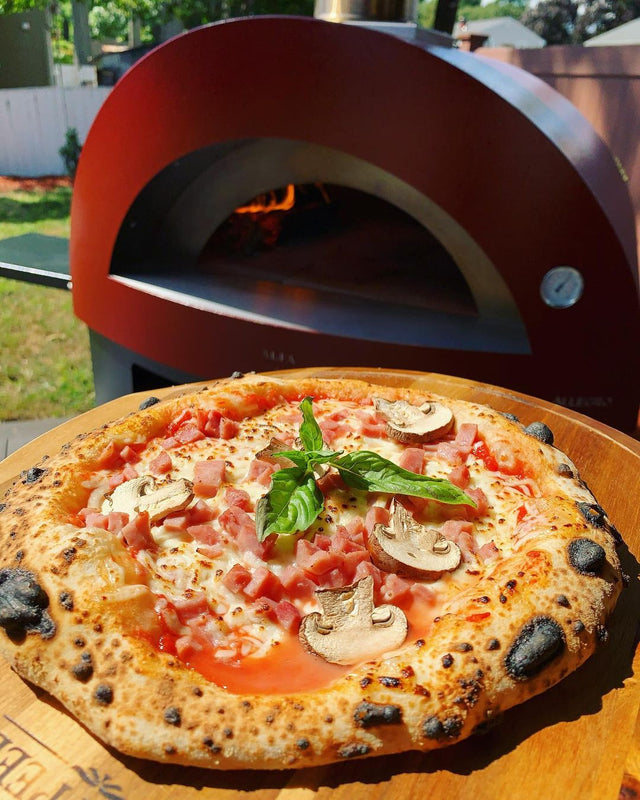 Alfa Allegro 39-Inch Outdoor Wood-Fired Pizza Oven with Base - Freestanding - Yellow