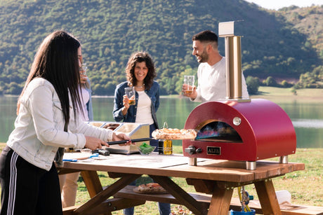 Alfa Moderno Portable Propane Gas Fired Pizza Oven - Grey