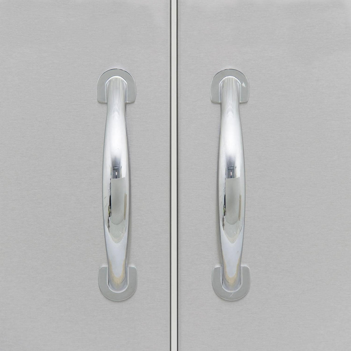 Blaze 32-Inch Stainless Steel Double Access Door With Paper Towel Holder - BLZ-AD32-R