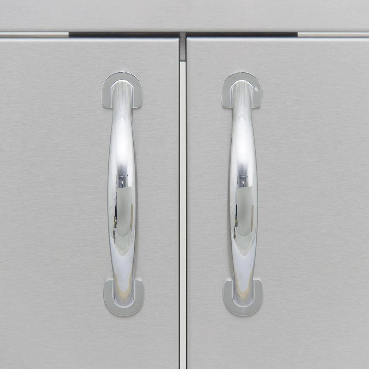 Blaze 40-Inch Stainless Steel Double Access Door With Paper Towel Holder - BLZ-AD40-R