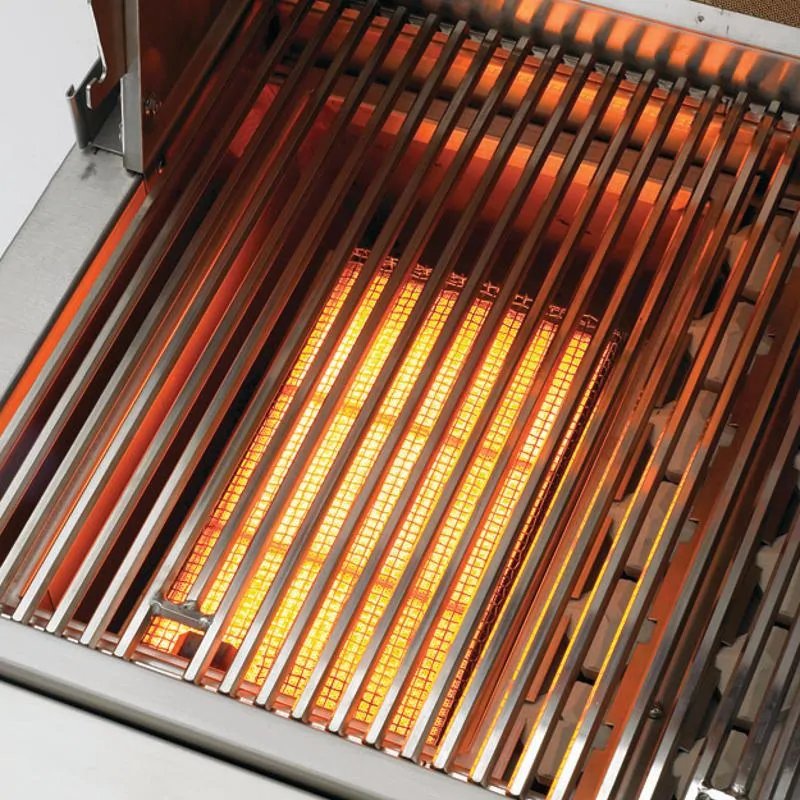 Delta Heat 26-Inch 2-Burner Built-In Gas Grill