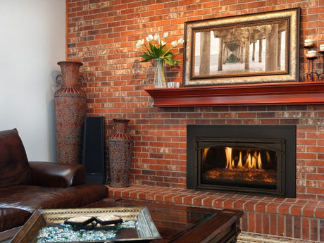 Kozy Heat Chaska 29 Gas Insert