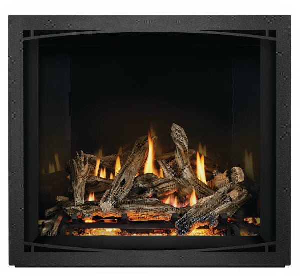 Napoleon Elevation X 36 Direct Vent Propane Gas Fireplace